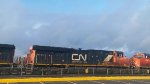 CN 2292